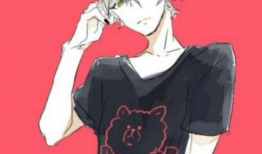 动漫可爱头像男生,动漫风男生头像魅力解析